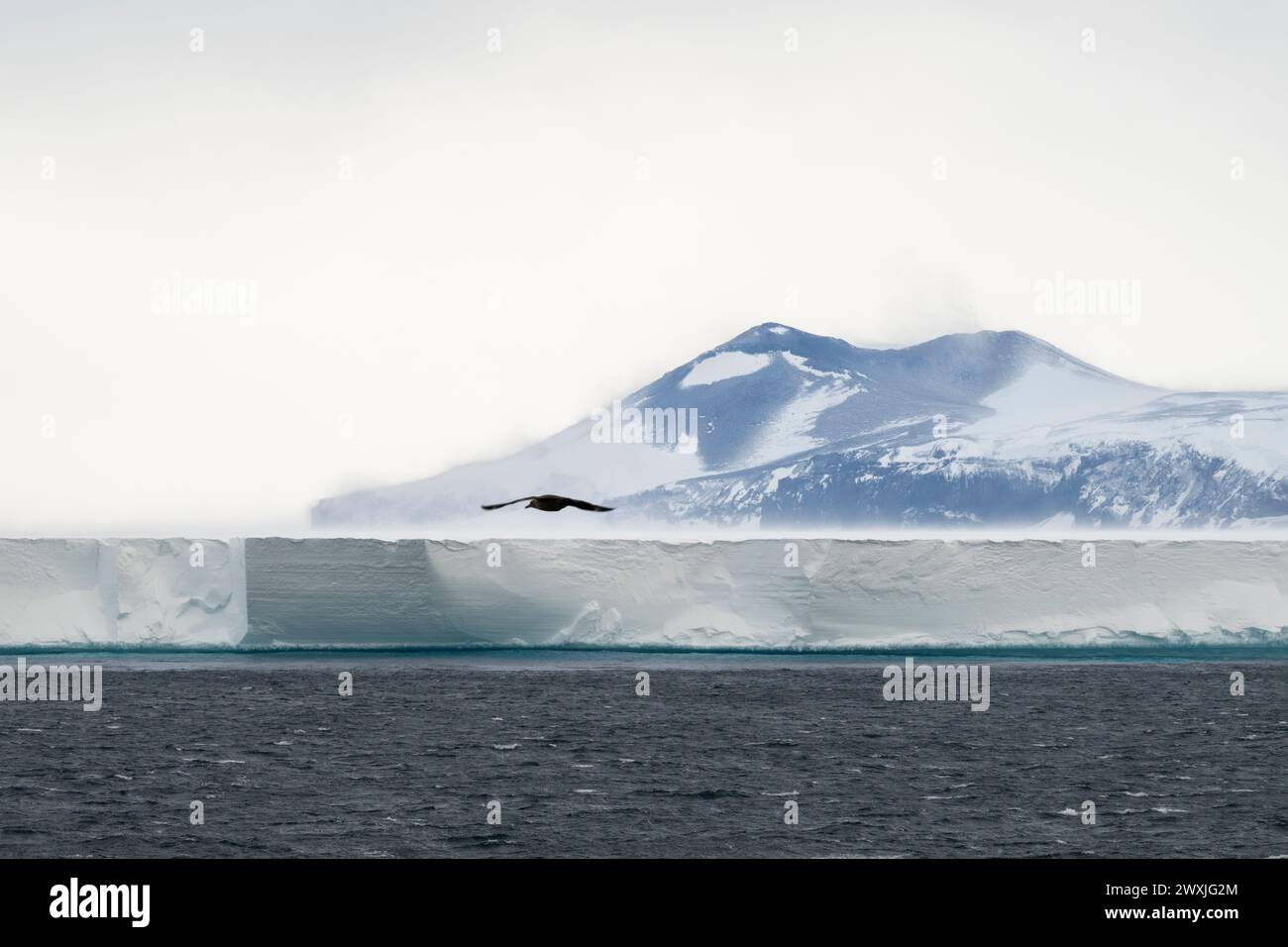 Antarctique, mer de Ross, plateau de glace de Ross. Banque D'Images