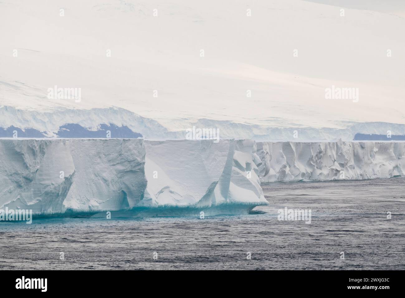Antarctique, mer de Ross, plateau de glace de Ross. Banque D'Images