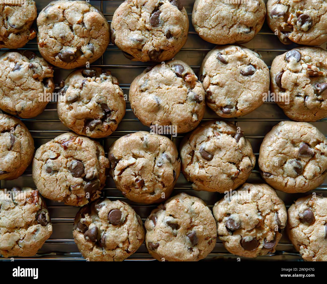 Biscuits aux pépites de chocolat fraîchement cuits, refroidissant sur grille. Banque D'Images