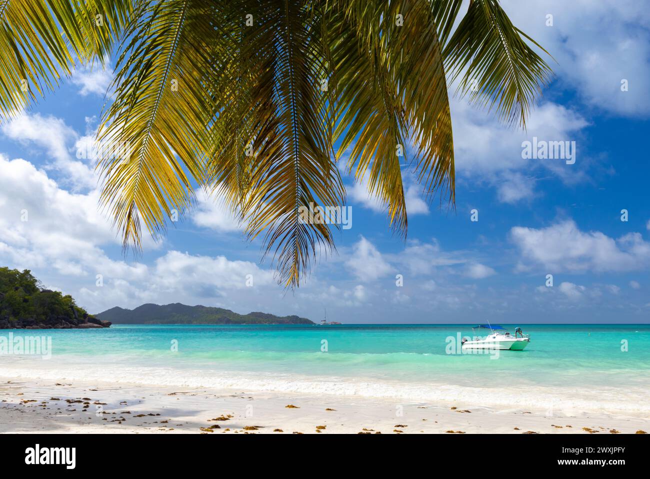 Plage de la Côte d'Or, île de Praslin, Seychelles. Vue sur la côte avec palmier et sable blanc sous le ciel bleu par une journée ensoleillée d'été Banque D'Images