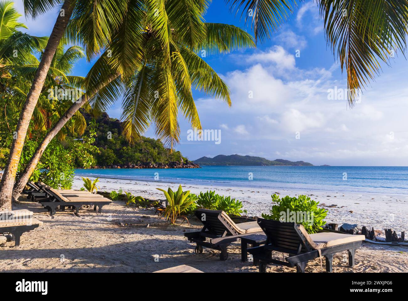 Plage de la Côte d'Or, île de Praslin, Seychelles. Vue sur la mer avec chaises longues vacantes sous les cocotiers les jours ensoleillés Banque D'Images