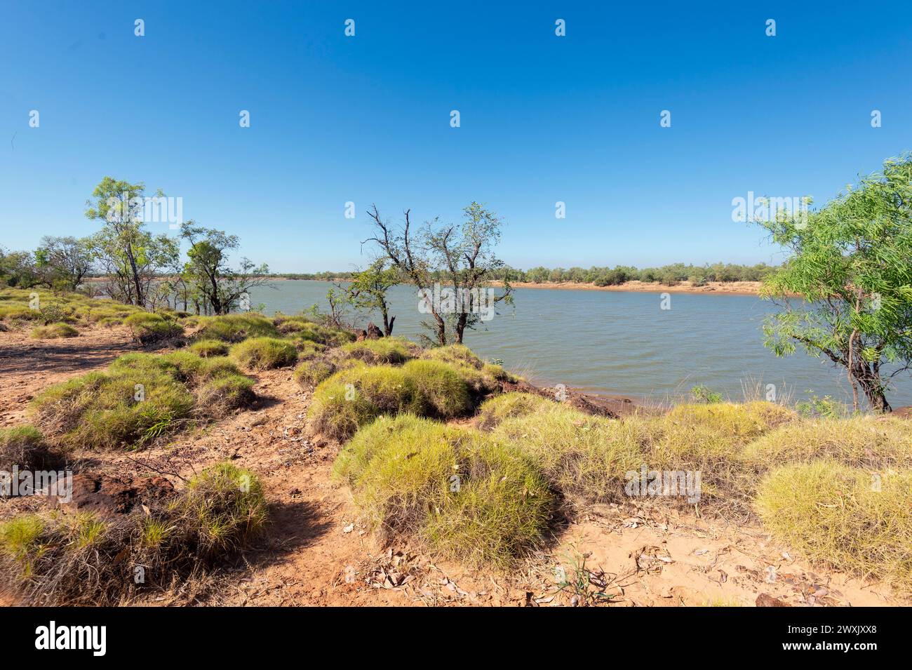 Vue des berges de la rivière Fitzroy couvertes de spinifex près de Fitzroy Crossing, Australie occidentale, Australie occidentale, Australie occidentale Banque D'Images