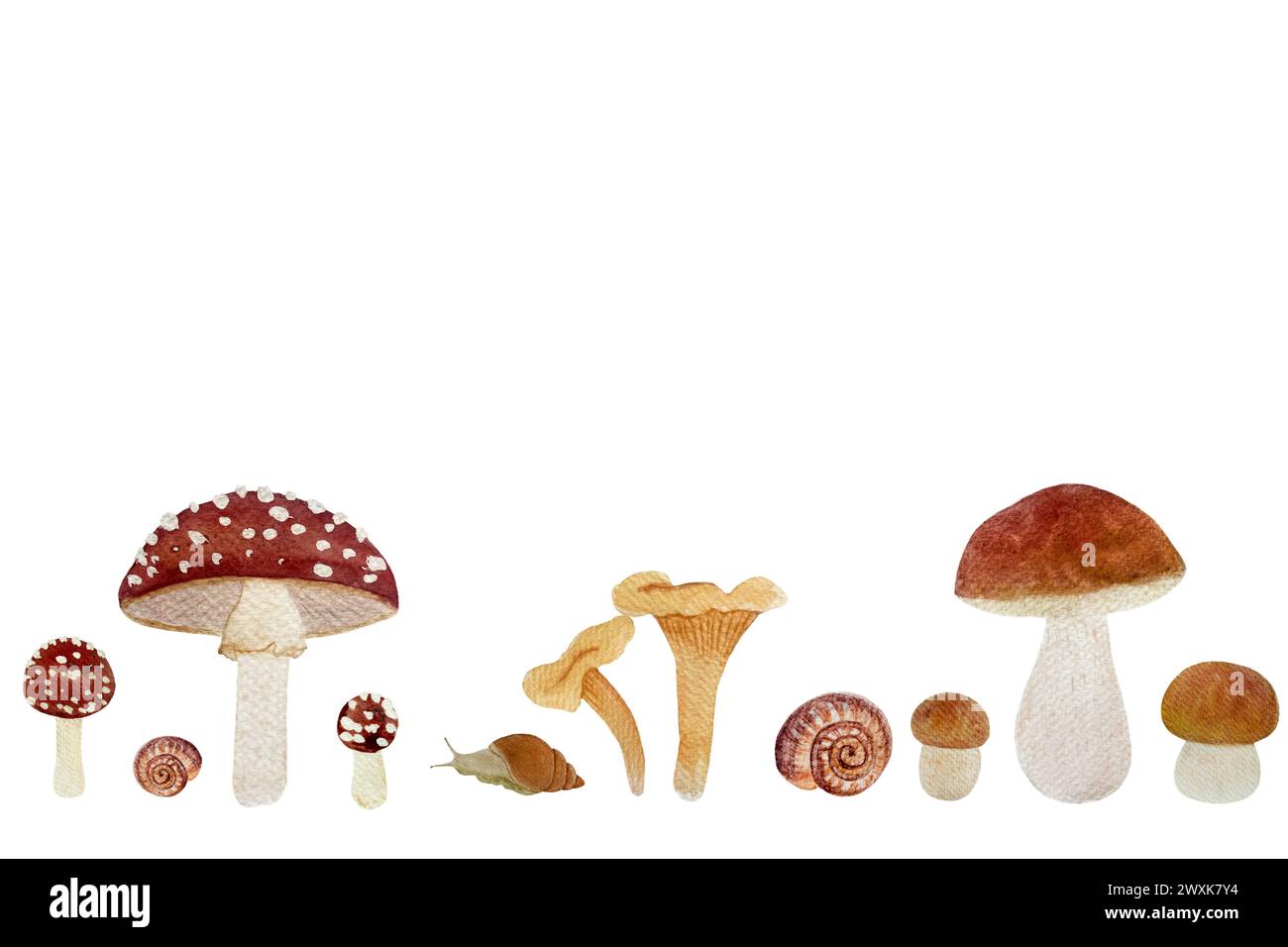 Ensemble aquarelle de champignons sauvages isolé sur blanc. Porcini, Chanterelle, Fly agaric Banque D'Images