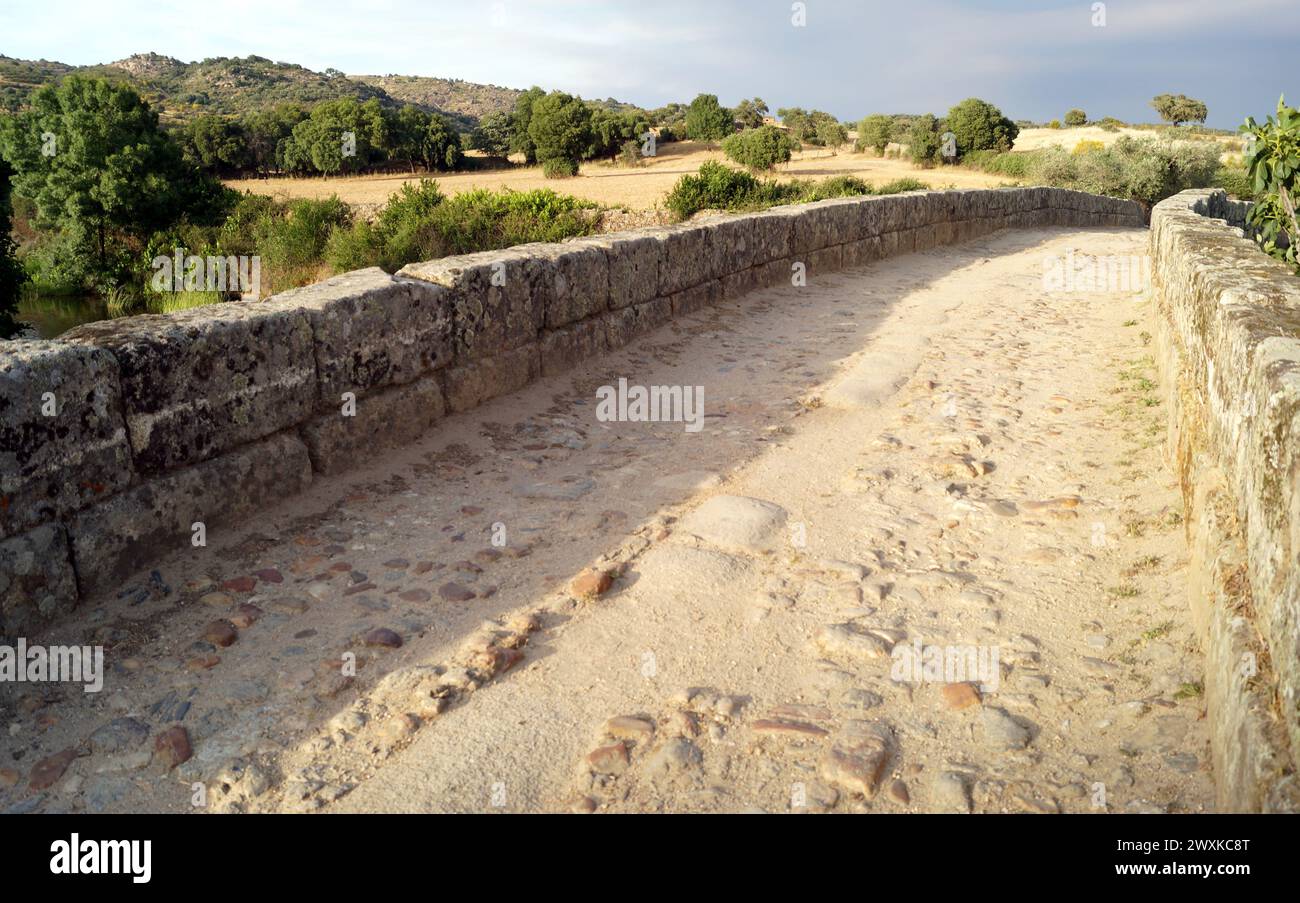 Route pavée sur le vieux pont, Ponte Velha, pont romain et médiéval en pierre sur le Ponsul, Idanha-a-Velha, Portugal Banque D'Images