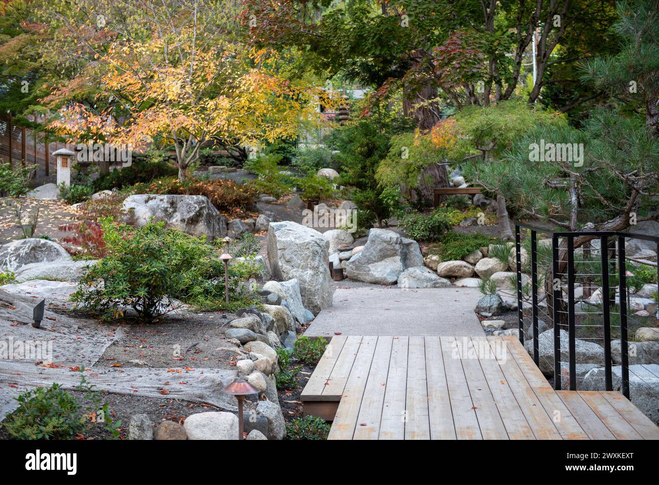 Couleurs d'automne au jardin japonais, Lithia Park, Ashland, Oregon, en 2023 Banque D'Images