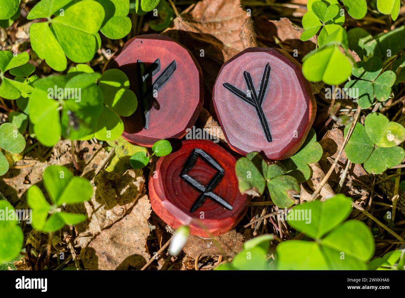 Runes Fehu, Algiz (Elhaz) et Odal (Othala) sculptées dans le bois sur l'herbe - Elder Futhark Banque D'Images