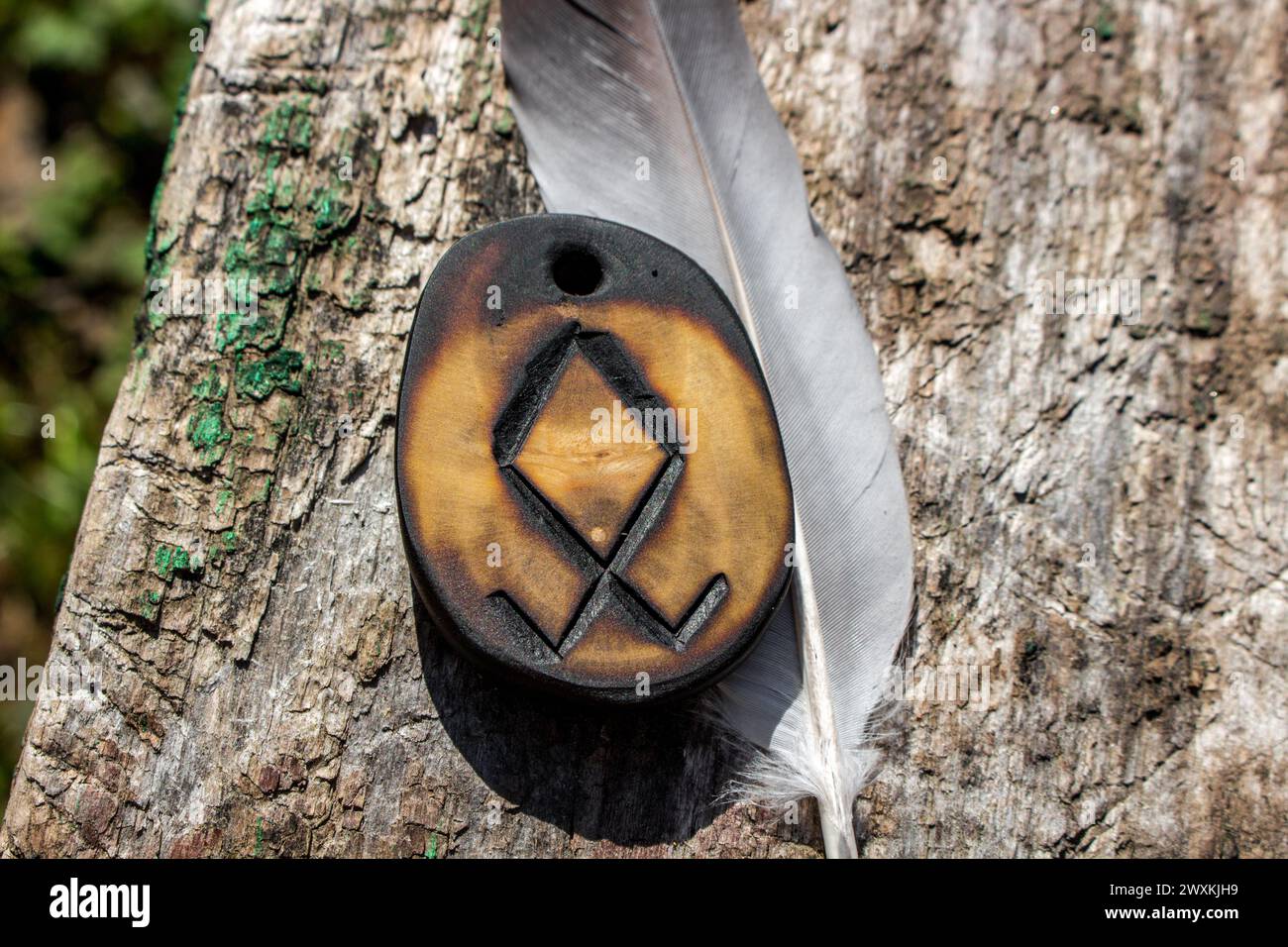 Rune Odal (Othala) sculptée dans du bois sur un fond en bois - Elder Futhark Banque D'Images