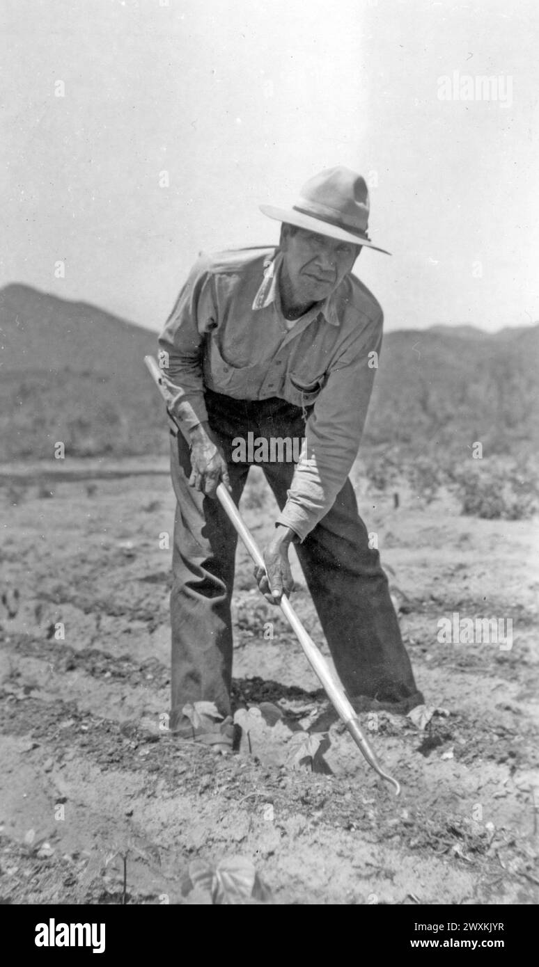 Homme utilisant une houe sur sa ferme dans la Californie rurale CA. 1936-1942 Banque D'Images