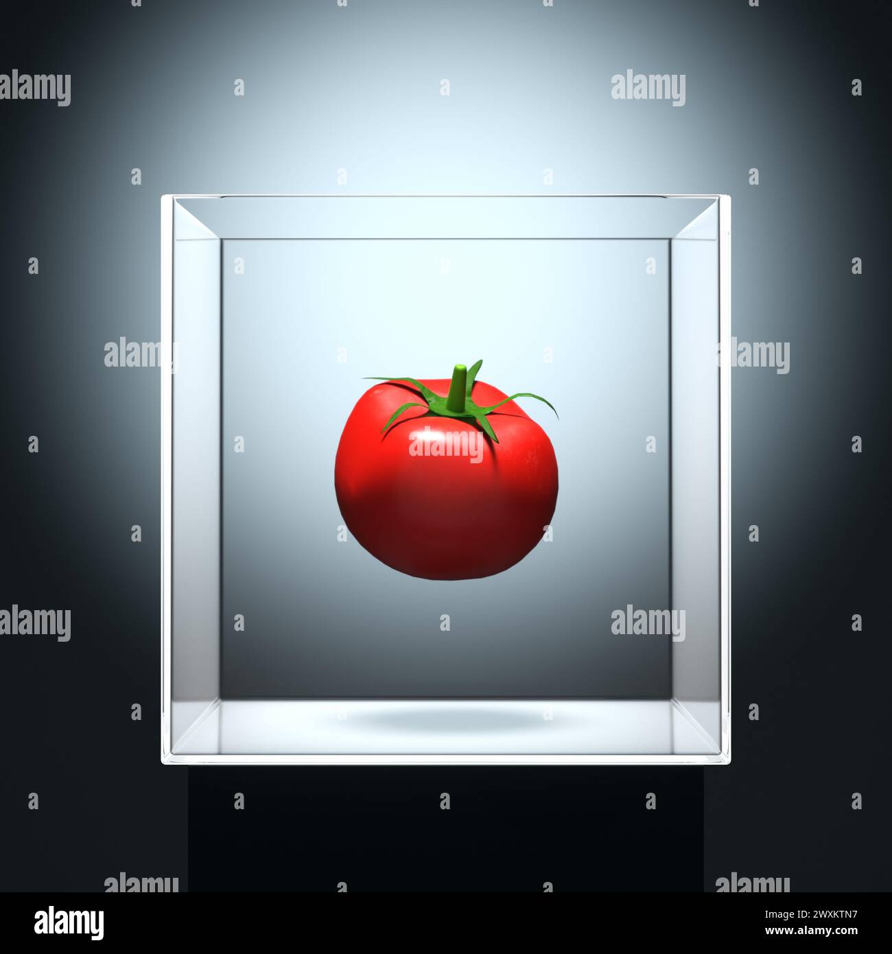 Tomate en lévitation exposée dans une boîte en verre transparent. Aliment génétiquement modifié et concept de fruit abstrait. Rendu 3D. Banque D'Images