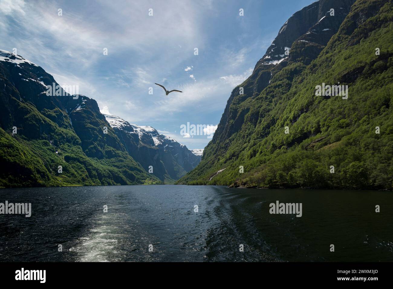 Fjord en Norvège Banque D'Images