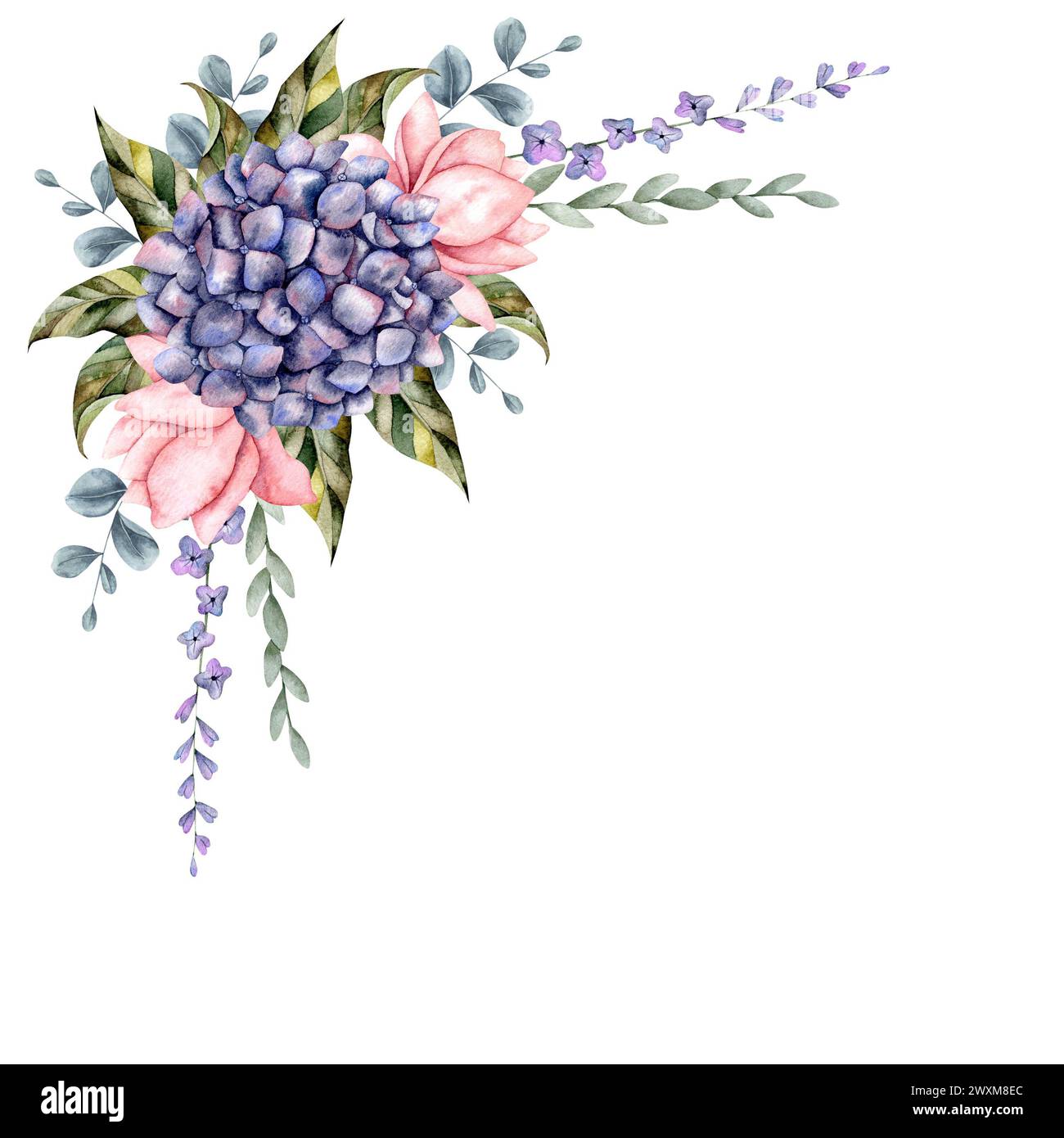 Cadre aquarelle dessiné à la main avec hortensia. Composition florale pour la décoration et le design Banque D'Images