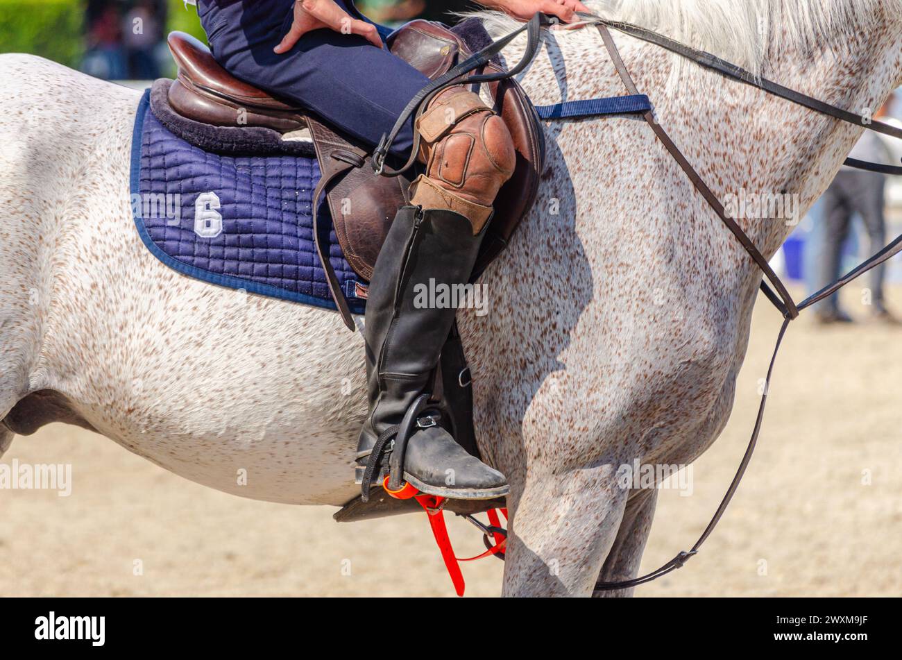 cavalier sur son cheval dans un jeu de ballon de cheval, concept de sport équestre Banque D'Images