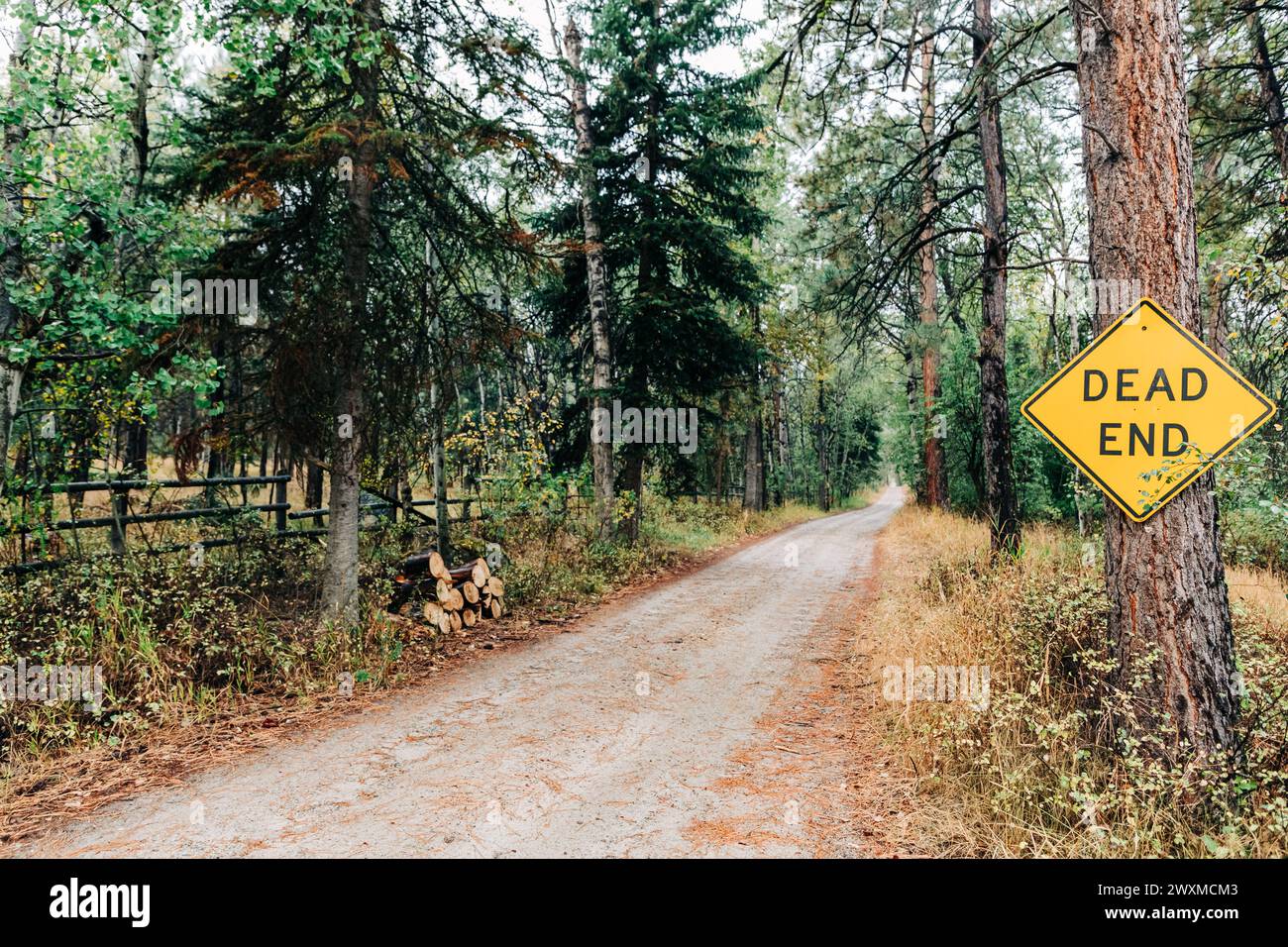 Chemin de terre à travers la forêt avec signe d'impasse Banque D'Images