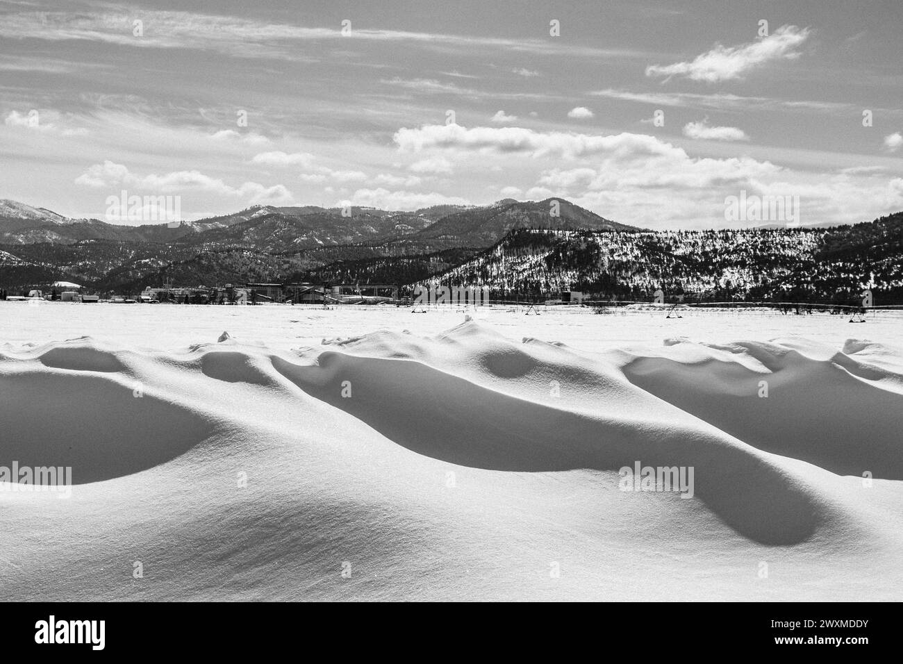 Paysage hivernal du Montana avec des collines de neige Banque D'Images