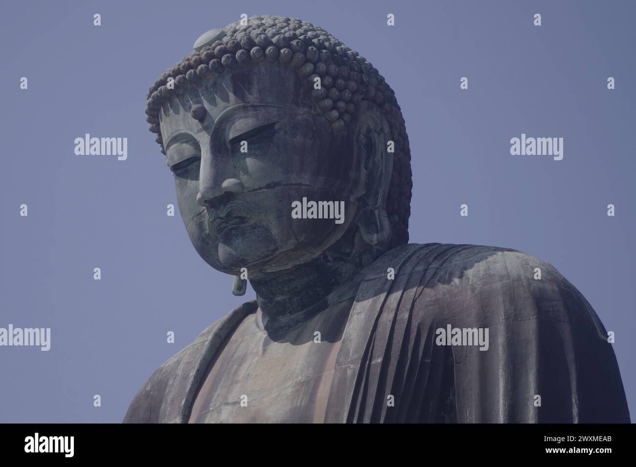 Daibutsu (Grand Bouddha) à Kamakura, préfecture de Kanagawa, Japon Banque D'Images