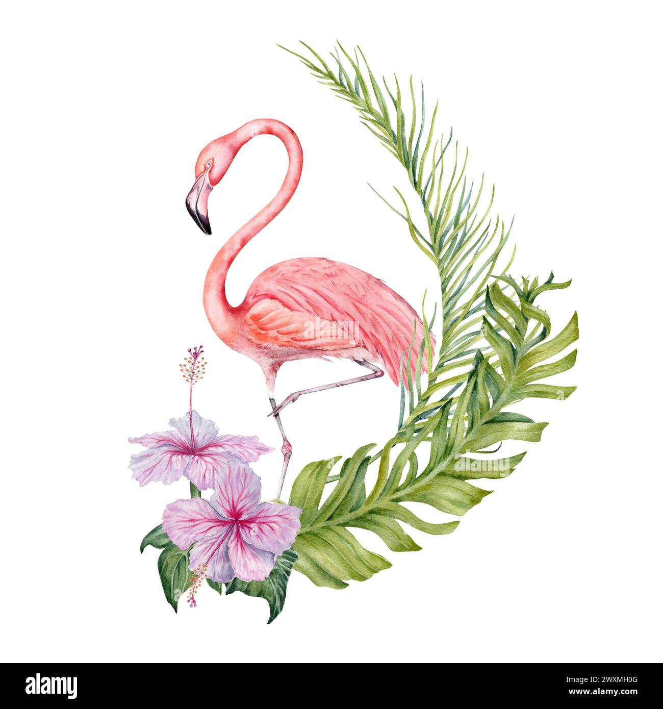 Flamingo et feuilles vertes tropicales exotiques composition. Aquarelle isolée sur fond blanc. Illustration botanique naturelle Banque D'Images