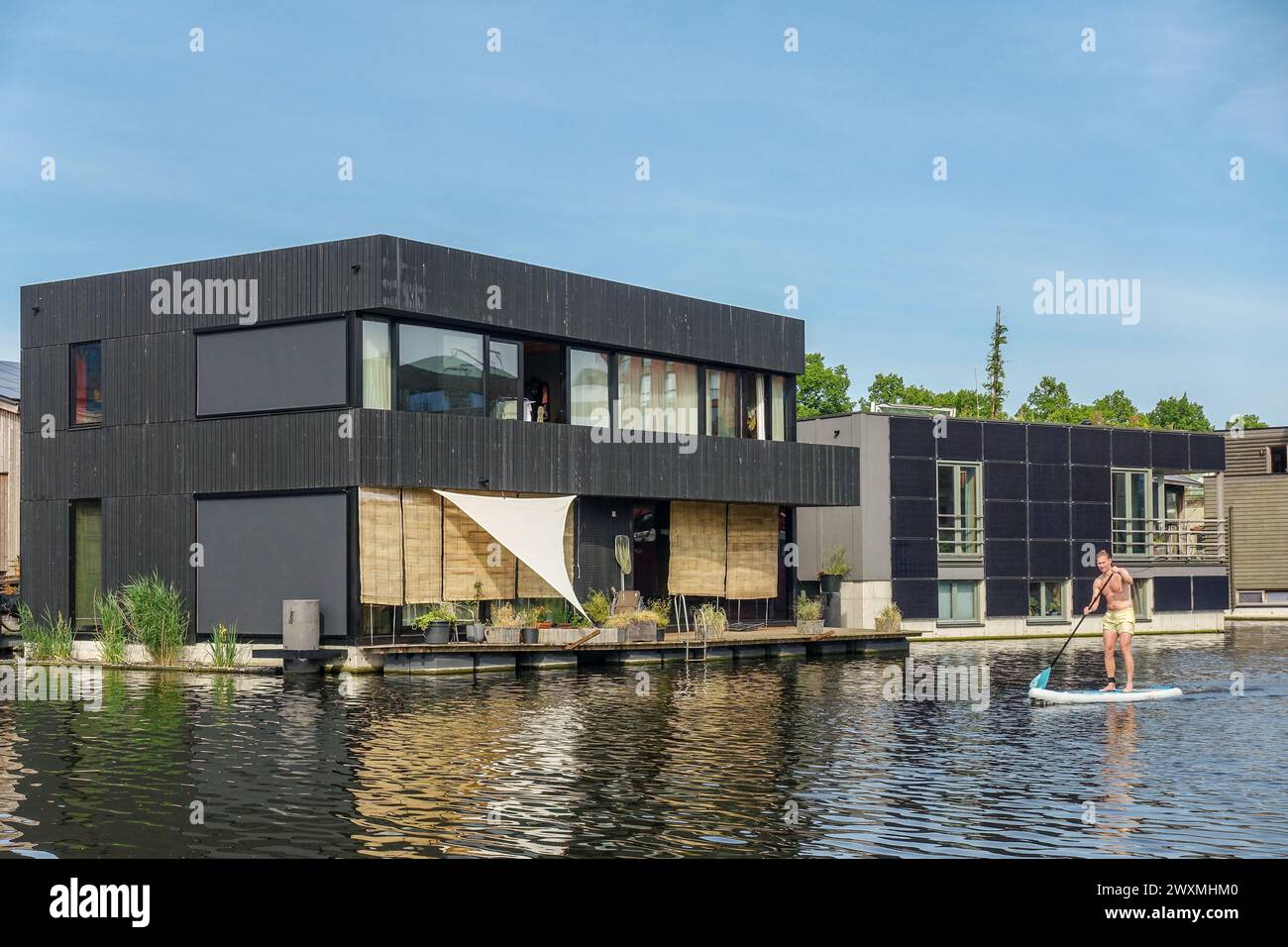 Maisons flottantes modernes à Amsterdam Noord sur un canal calme avec un homme paddleboard par une journée ensoleillée près de l'architecture contemporaine en bord de mer Banque D'Images