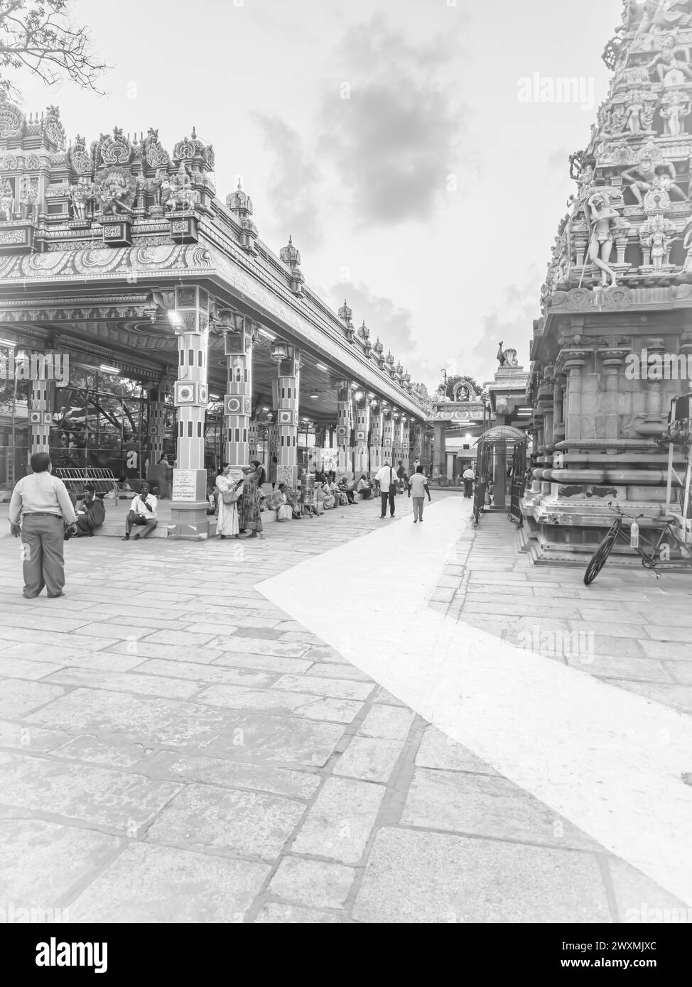 Chennai, Tamil Nadu, Inde - 21 mars 2024 : complexe autour du temple Kapaleeshwarar, Mylapore, Chennai, Inde pendant le festival Mylapore Panguni. Banque D'Images