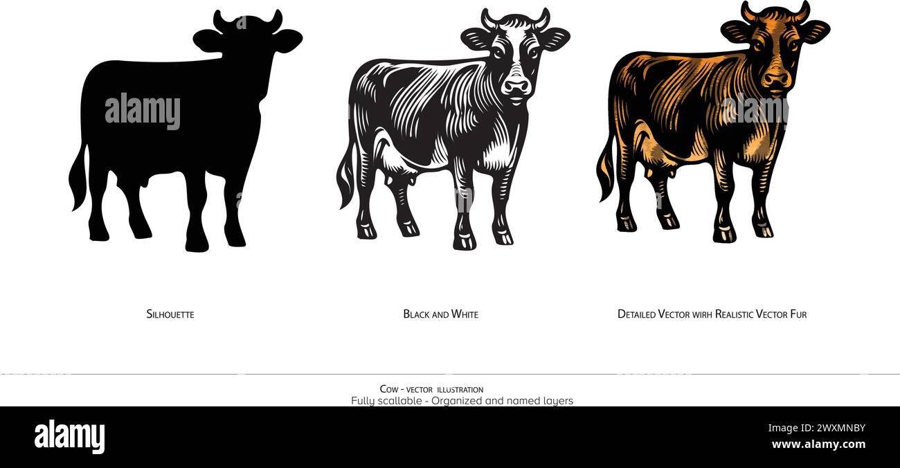 Illustration vectorielle de vache laitière - silhouette noir et blanc et coloré. calques organisés, animation prête Illustration de Vecteur