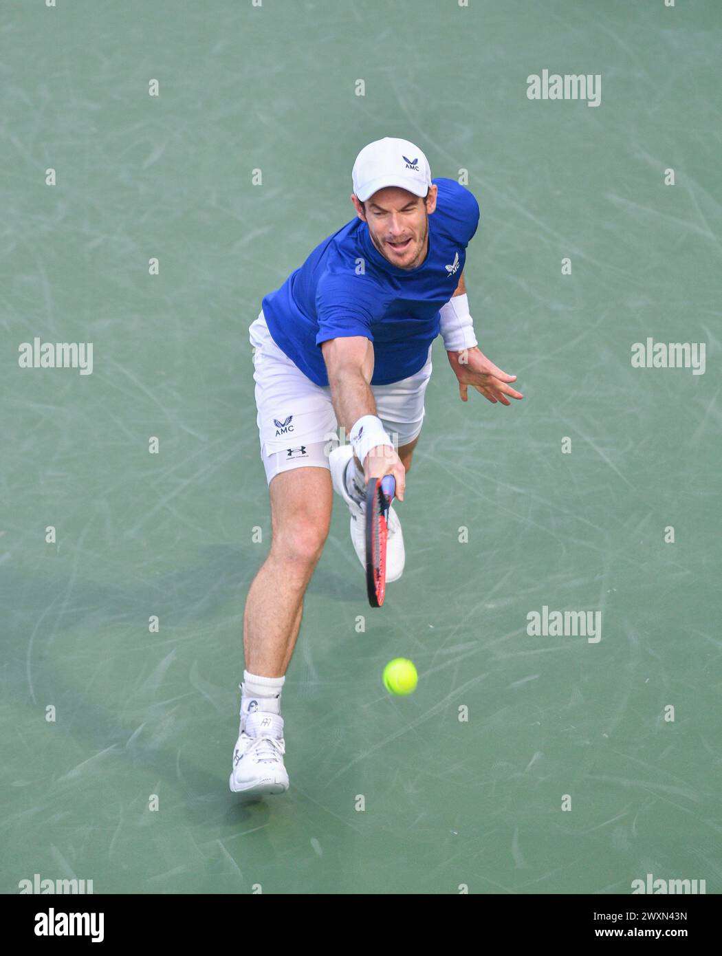 Dubaï, le 26 février 2024-photo du joueur de tennis britannique Andy Murray en action. Dubaï Duty Free Tennis Championships 2024, situé à Dubaï Banque D'Images