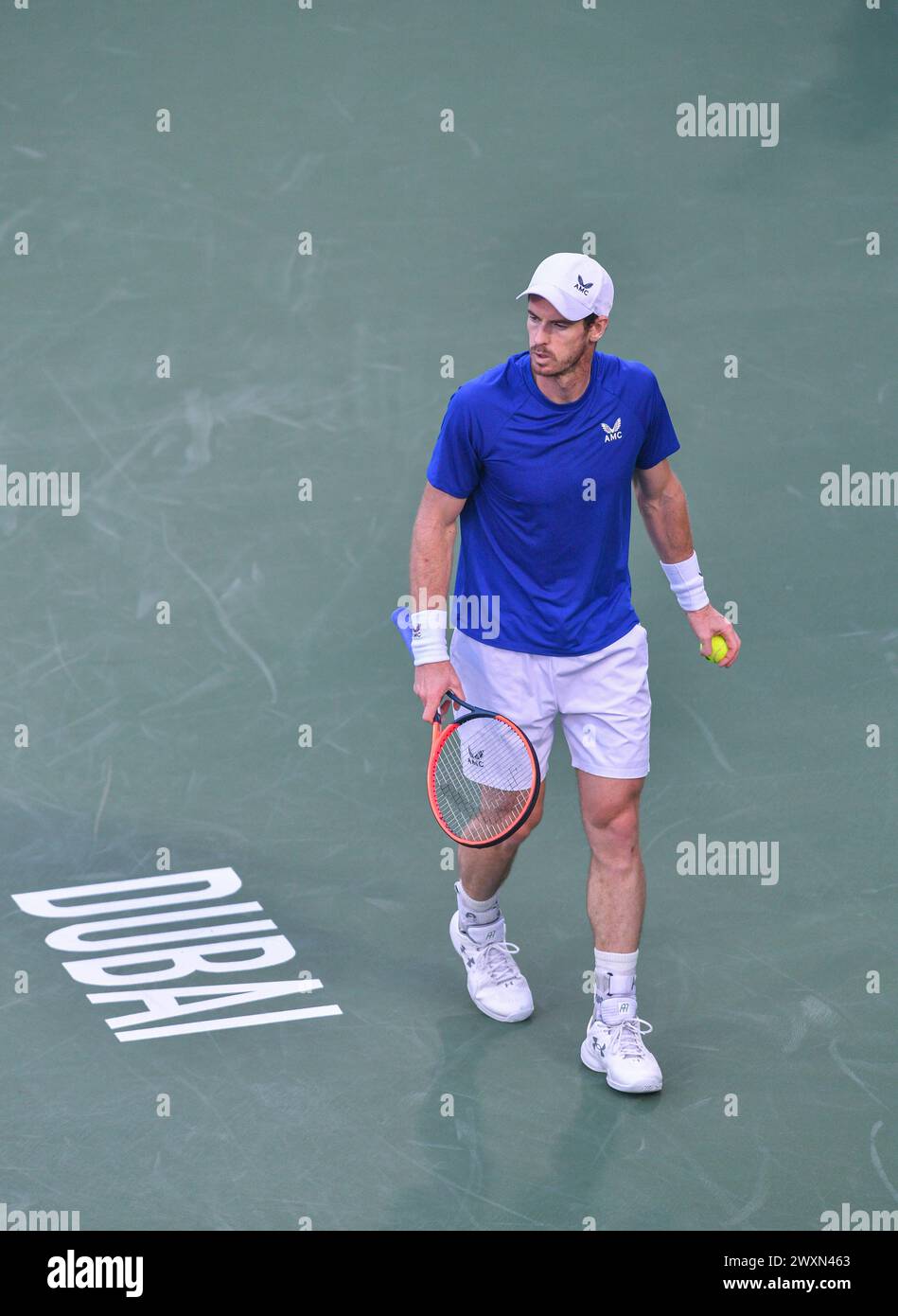 Dubaï, le 26 février 2024-photo du joueur de tennis britannique Andy Murray en action. Dubaï Duty Free Tennis Championships 2024, situé à Dubaï Banque D'Images