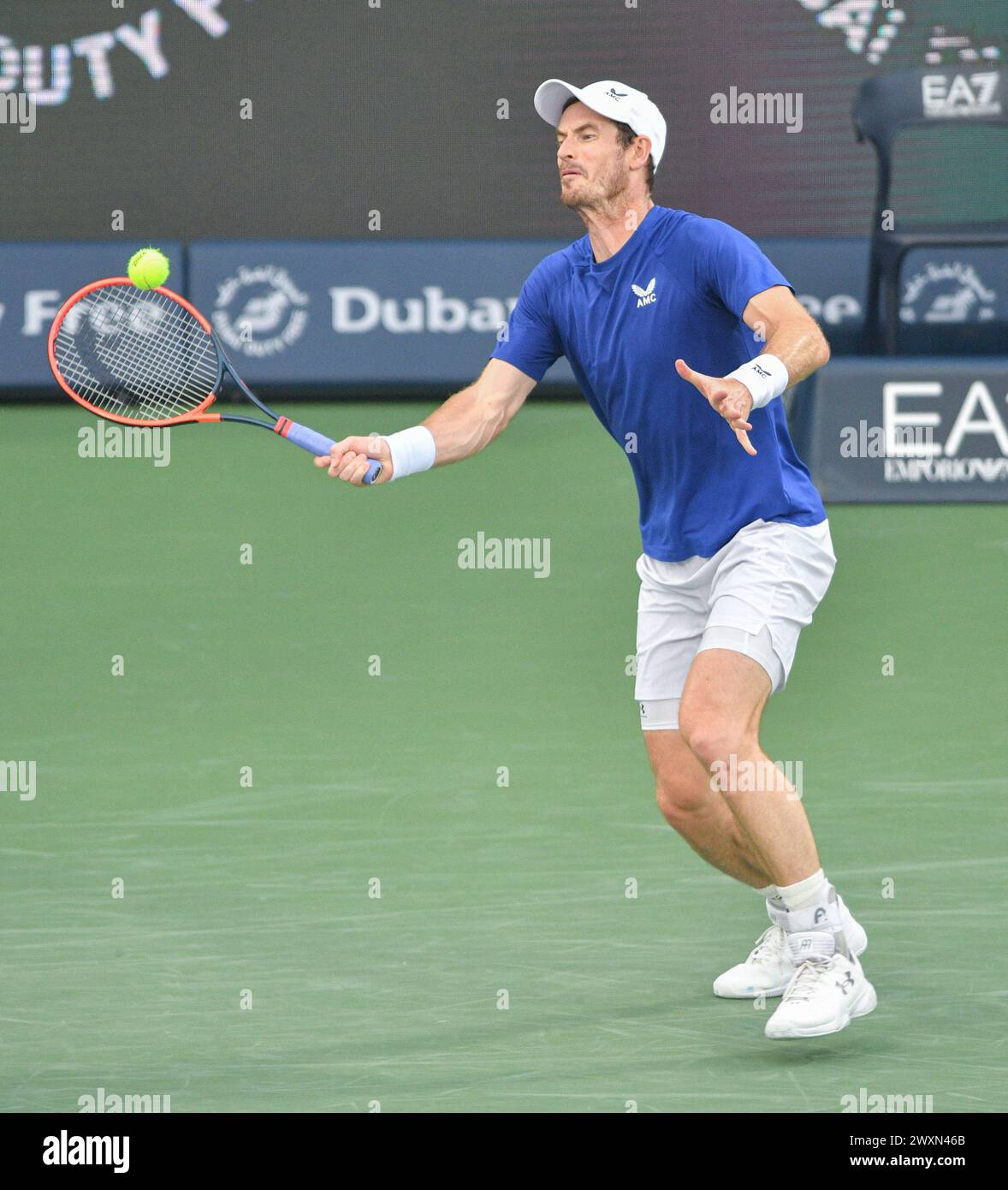 Dubaï, le 26 février 2024-photo du joueur de tennis britannique Andy Murray en action. Dubaï Duty Free Tennis Championships 2024, situé à Dubaï Banque D'Images