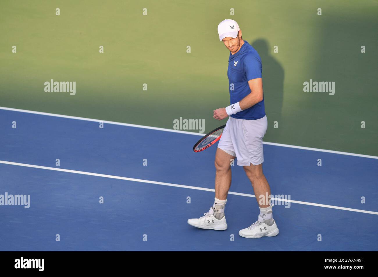 Dubaï, le 26 février 2024-photo du joueur de tennis britannique Andy Murray en action. Dubaï Duty Free Tennis Championships 2024, situé à Dubaï Banque D'Images