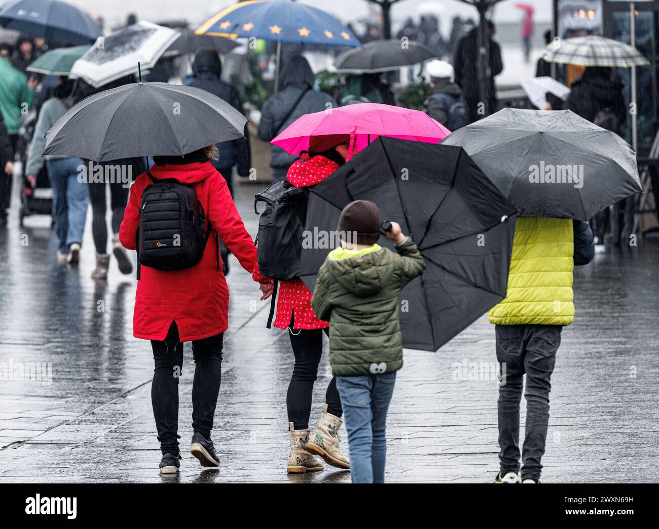 Hambourg, Allemagne. 01st Apr, 2024. De nombreux voyageurs d'une journée se promènent sous des parasols sous la pluie battante à l'installation de protection contre les inondations de Baumwall le lundi de Pâques. Un lundi de Pâques nuageux et pluvieux attend les habitants de Hambourg et du Schleswig-Holstein. Selon une prévision du Service météorologique allemand (DWD), il y aura des pluies prolongées dans le nord à partir de midi. Avec de fortes précipitations de l'Elbe, 30 litres par mètre carré sont attendus dans certaines zones. Crédit : Markus Scholz/dpa/Alamy Live News Banque D'Images