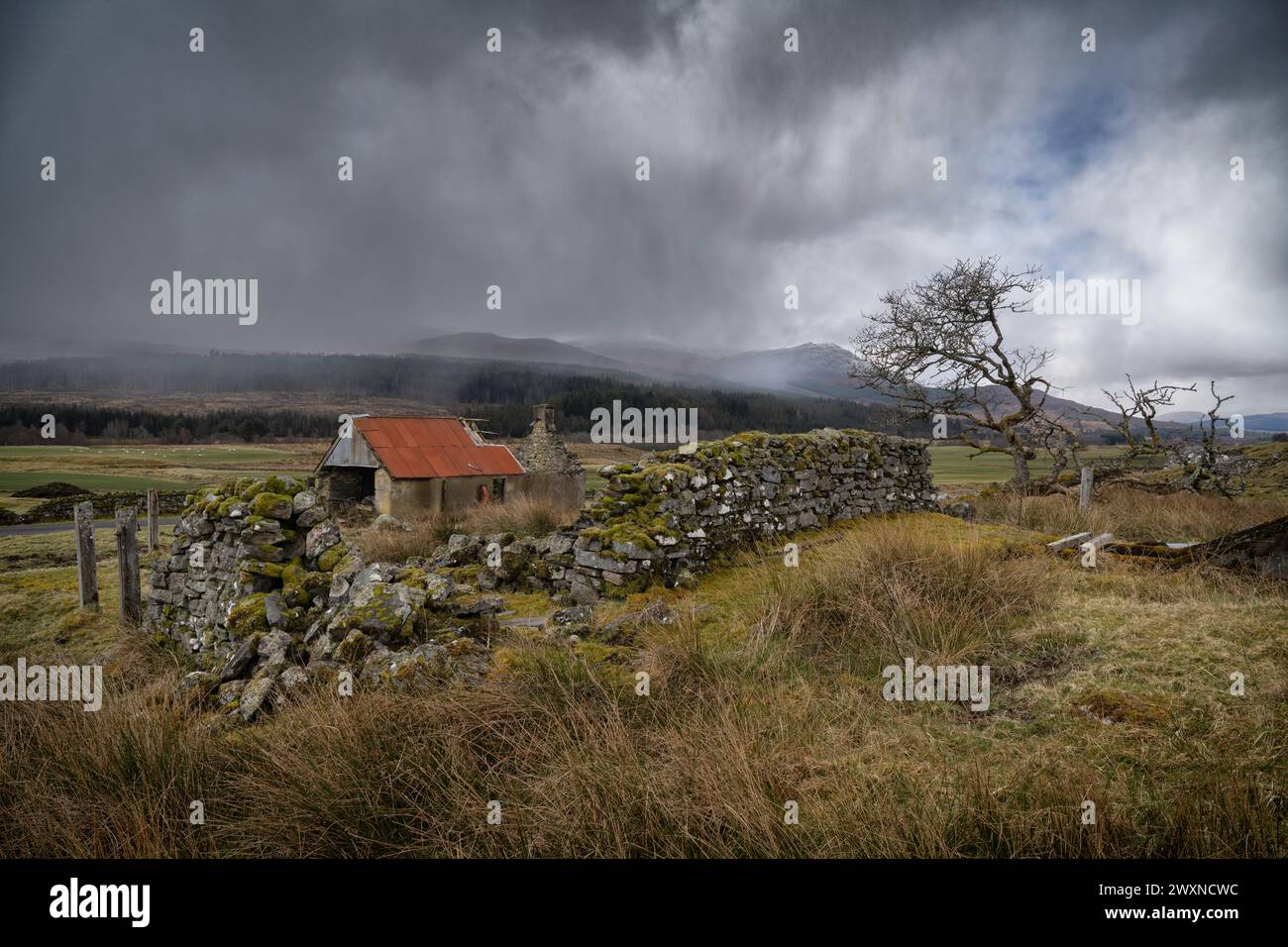 Une vieille ruine et un bâtiment de ferme en décomposition se dressent vers la tête de Glen Moriston alors que la neige de fin mars souffle à travers le paysage. Banque D'Images