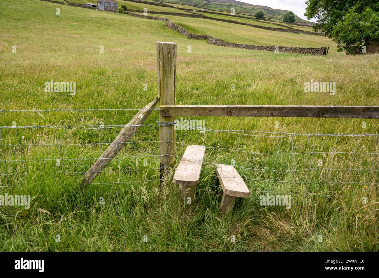 Clôtures en bois dans un champ d'herbe verte Yorkshire Dales Angleterre Banque D'Images