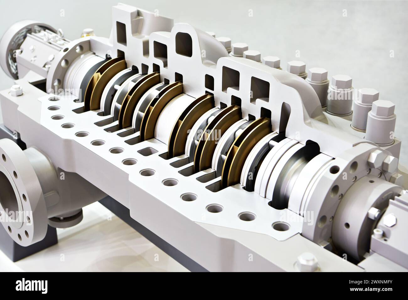 Section transversale d'une pompe centrifuge horizontale à plusieurs étages à double palier Banque D'Images