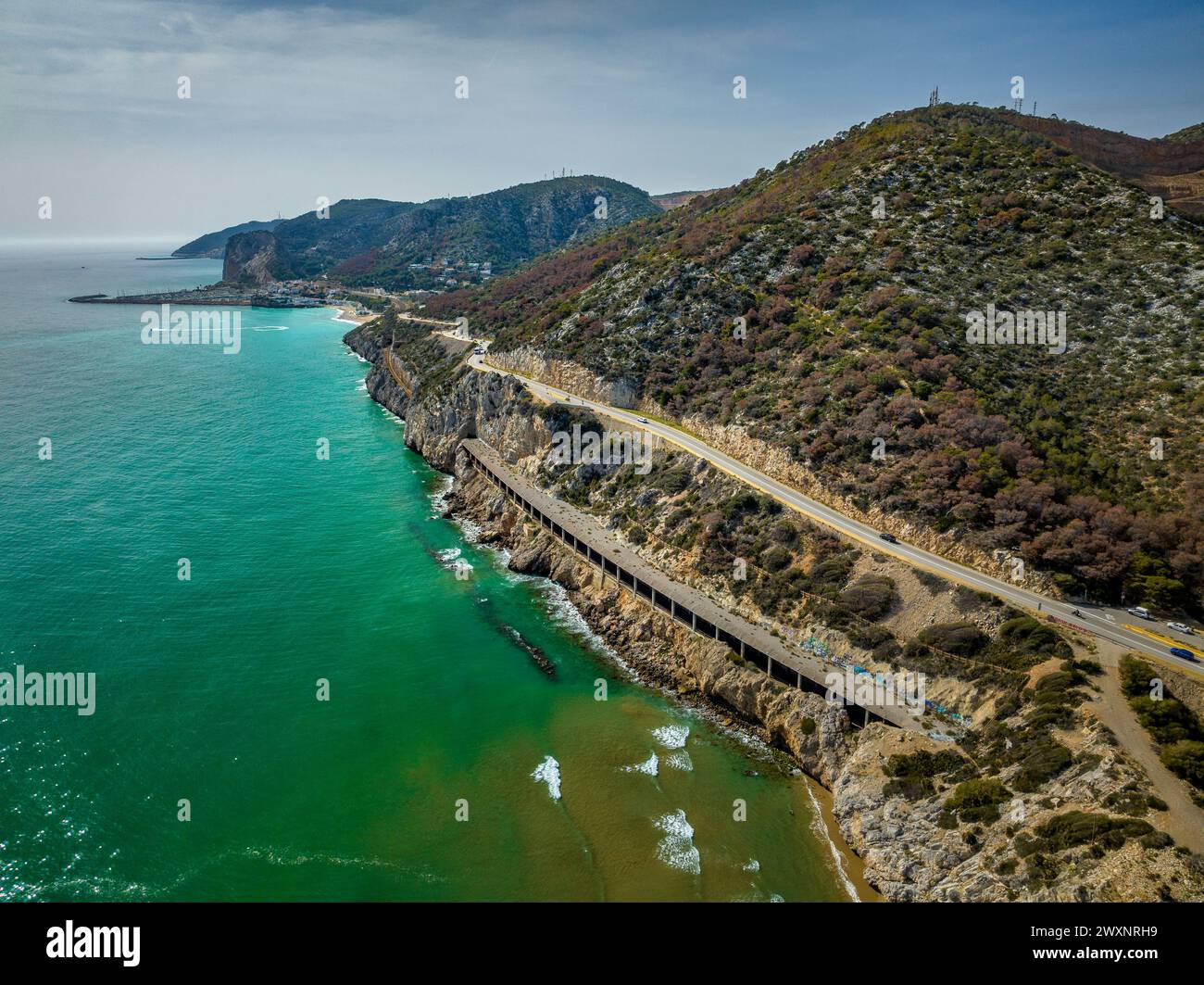 Très grave sécheresse et mort de la forêt de pins de pierre (Pinus pinea) dans le massif du Garraf, à côté de la mer et Costes del Garraf (Barcelone, Espagne) Banque D'Images