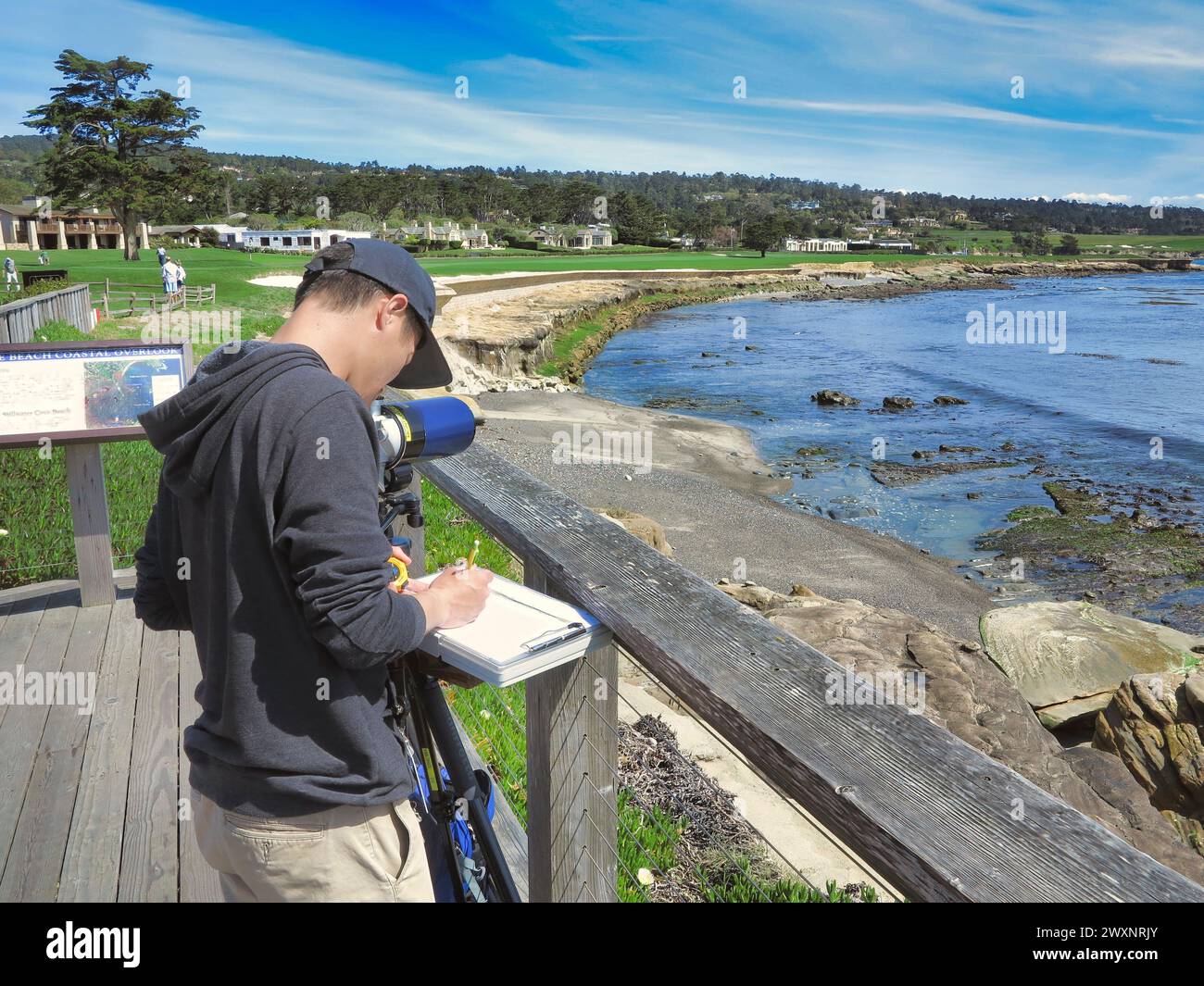 Pebble Beach, Californie, États-Unis 21 mars 2024 un analyste de la conservation des animaux marins surveille les nombres et l'activité de Banque D'Images