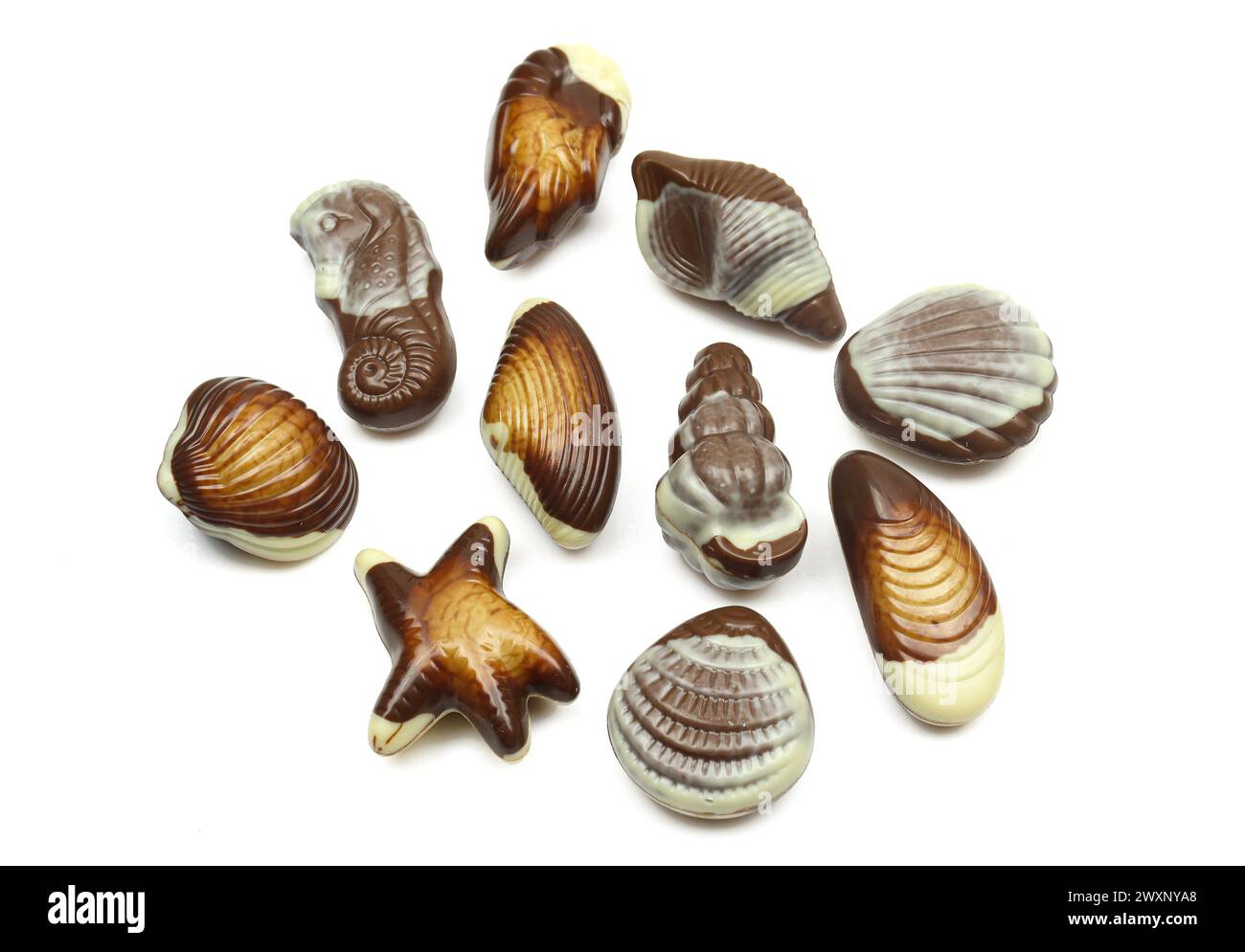 Ensemble d'hippocampe et de pralines de chocolat en forme d'étoile de mer isolé sur fond blanc Banque D'Images