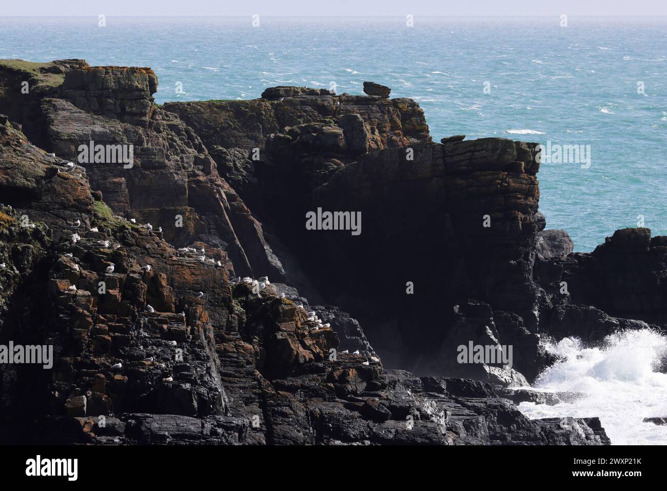 Vagues s'écrasant sur les falaises côtières à Lizard point, Cornwall par jour ensoleillé brillant avec des nuages changeants Banque D'Images