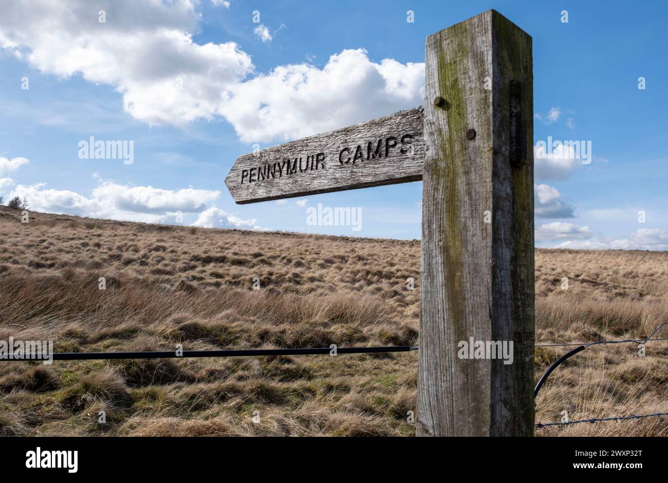 Panneau indiquant Pennymuir Roman camps, près de Jedburgh, Scottish Borders, Royaume-Uni Banque D'Images Panneau indiquant Pennymuir Roman camps, près de Jedburgh, Scottish Borders, Royaume-Uni Banque D'Images