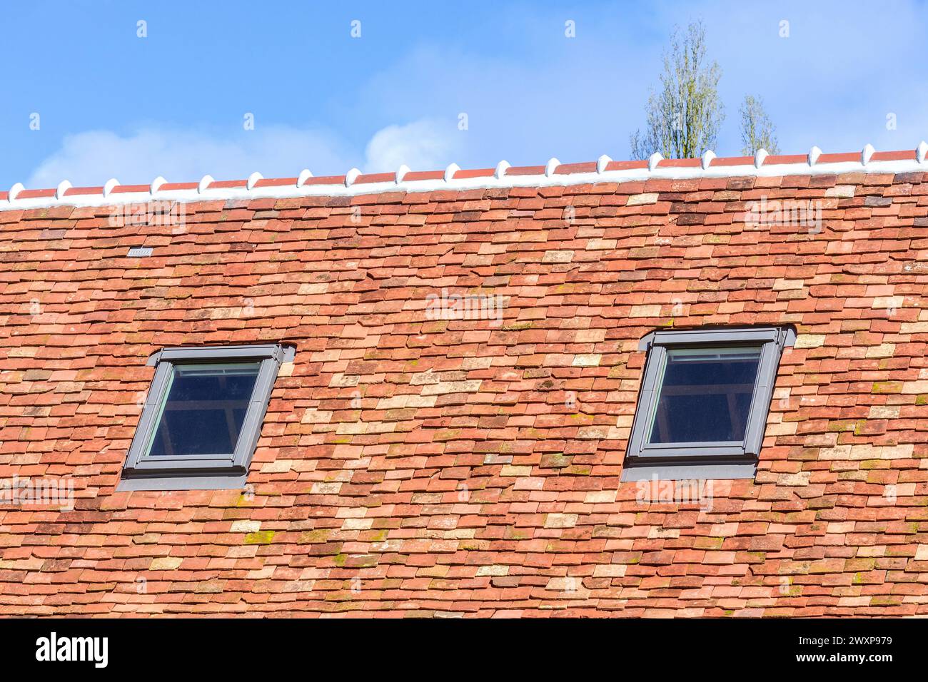 Nouvelle construction de toiture avec tuiles en terre cuite et fenêtres Velux - Preuilly-sur-Claise, Indre-et-Loire (37), France. Banque D'Images
