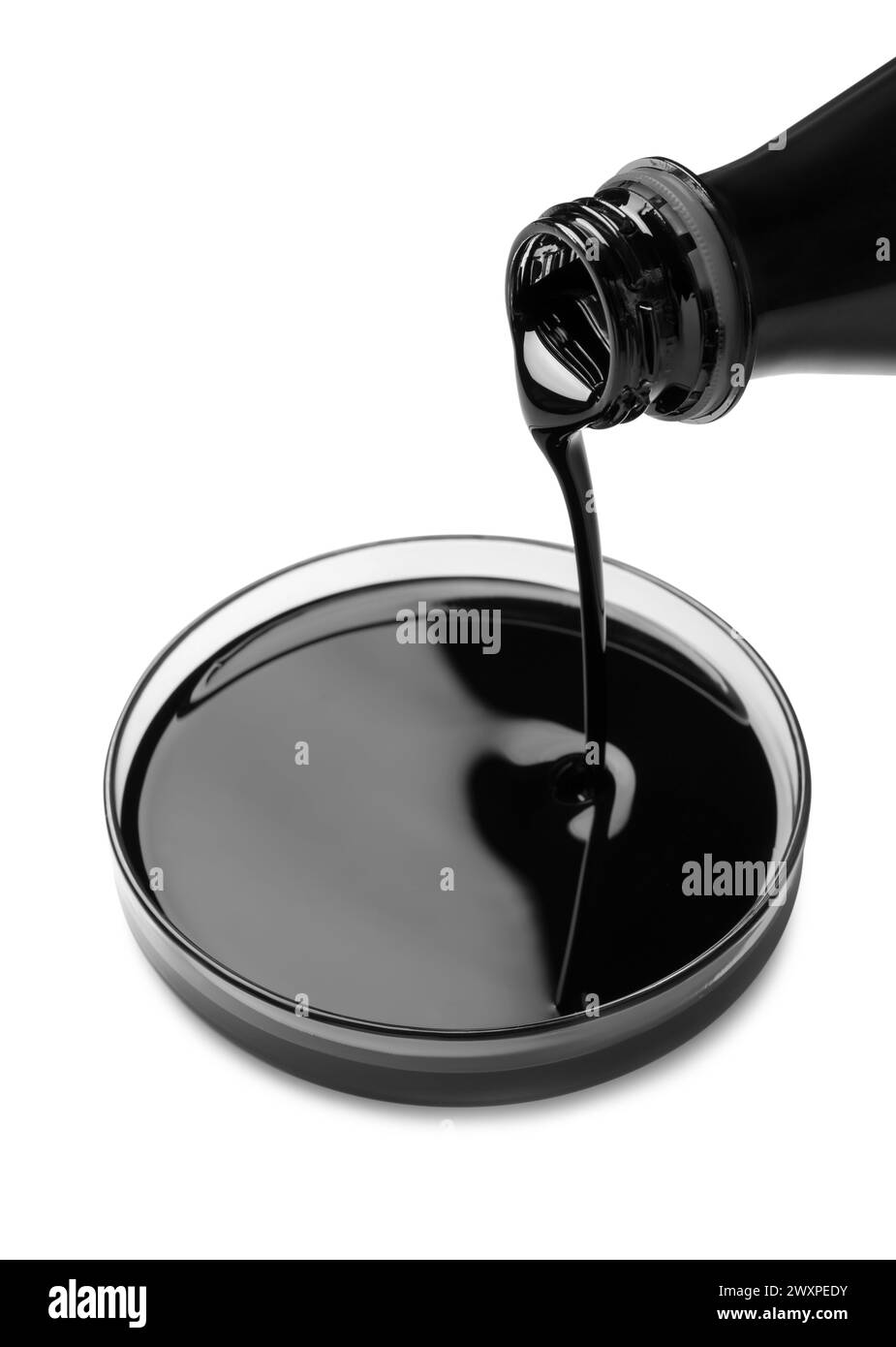 Verser du pétrole brut noir dans la boîte de Petri sur fond blanc Banque D'Images