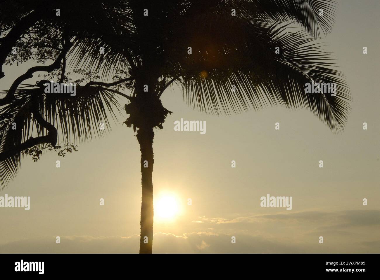 Maui .Hawaii Islands ,USA vacationers marchant sur l'île maui Hawaii plage pendant le coucher du soleil 16 janvier 2015 photo de Francis Joseph Dean/DeanPictures) Banque D'Images