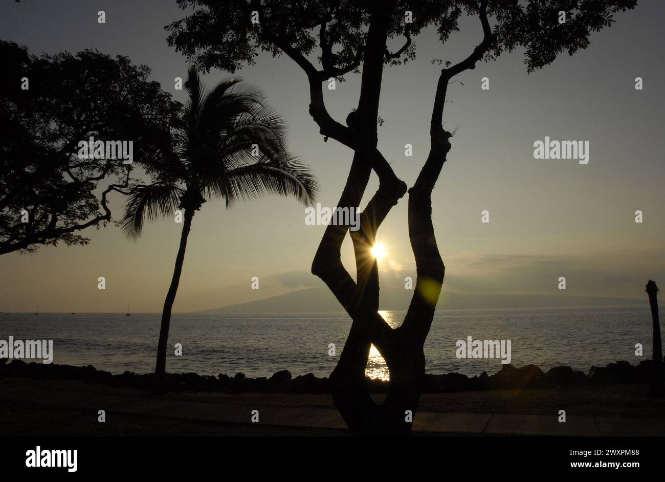 Maui .Hawaii Islands ,USA vacationers marchant sur l'île maui Hawaii plage pendant le coucher du soleil 16 janvier 2015 photo de Francis Joseph Dean/DeanPictures) Banque D'Images