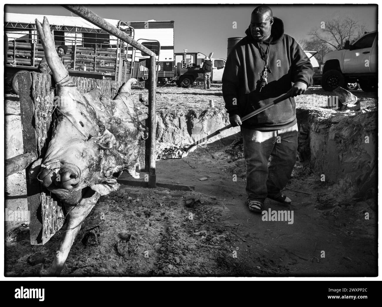 Prairie View, Texas, États-Unis. 19 février 2024. Un maître de fosse et son équipage font mariner le porc annuel ou un rôti de porc lors du parcours annuel de 67 de l'association Prairie View Trail Riders Association à Prairie View, Texas. Le groupe de cow-boys noirs convergera au HoustonÃs Memorial Park avec trois autres groupes de cow-boys noirs pour les cérémonies d'ouverture du Houston Livestock Show and Rodeo annuel à Houston. La PVTRA a été fondée en 1957 et leur but est de promouvoir l'intérêt agricole pour les jeunes Américains et de perpétuer ces principes et méthodes qui sont devenus les idéaux et trad Banque D'Images