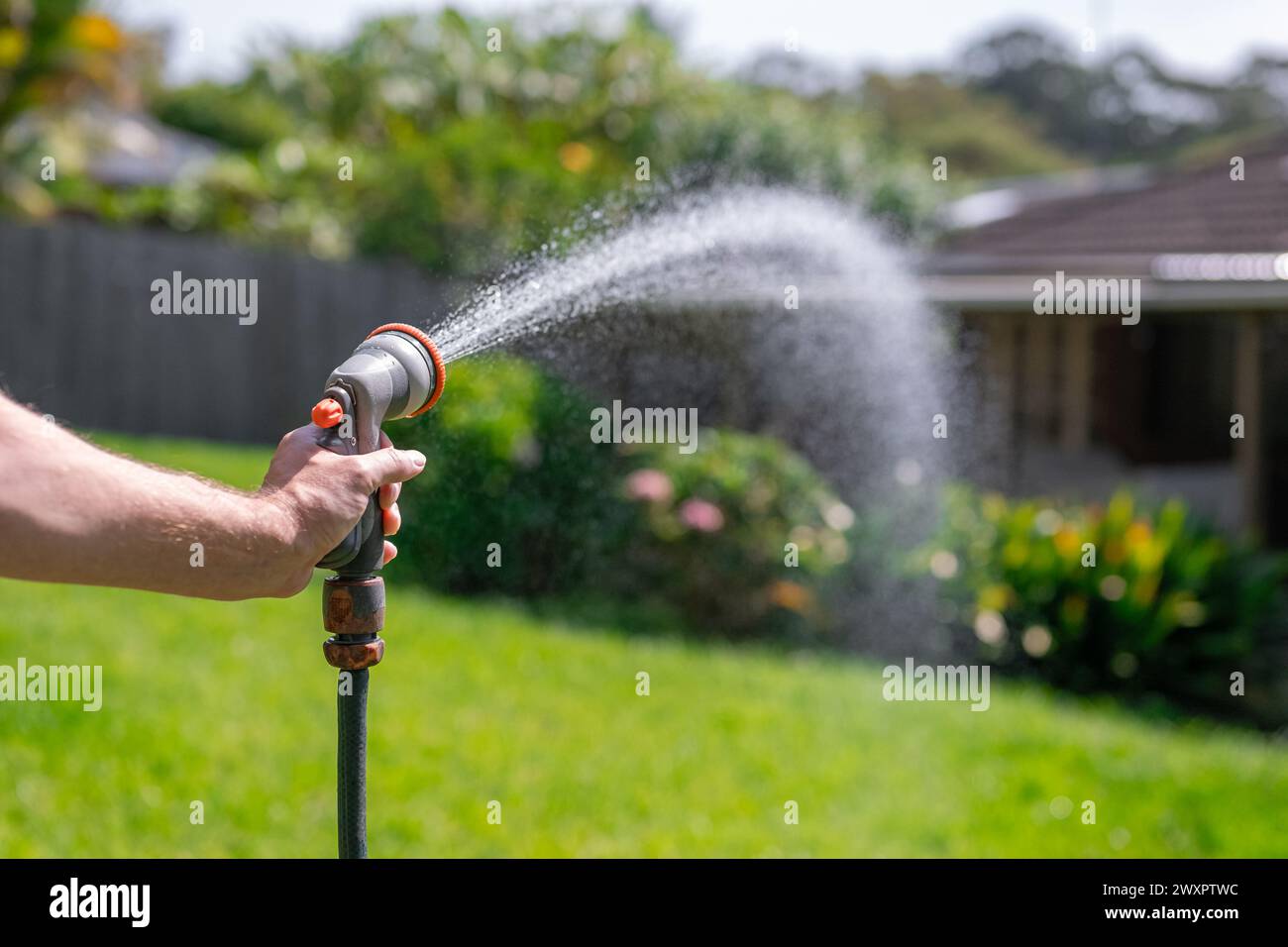 Tuyau d'arrosage avec buse réglable. Main de l'homme tenant pistolet de pulvérisation et arrosant les plantes, pulvérisant de l'eau sur l'herbe dans la cour arrière. Banque D'Images