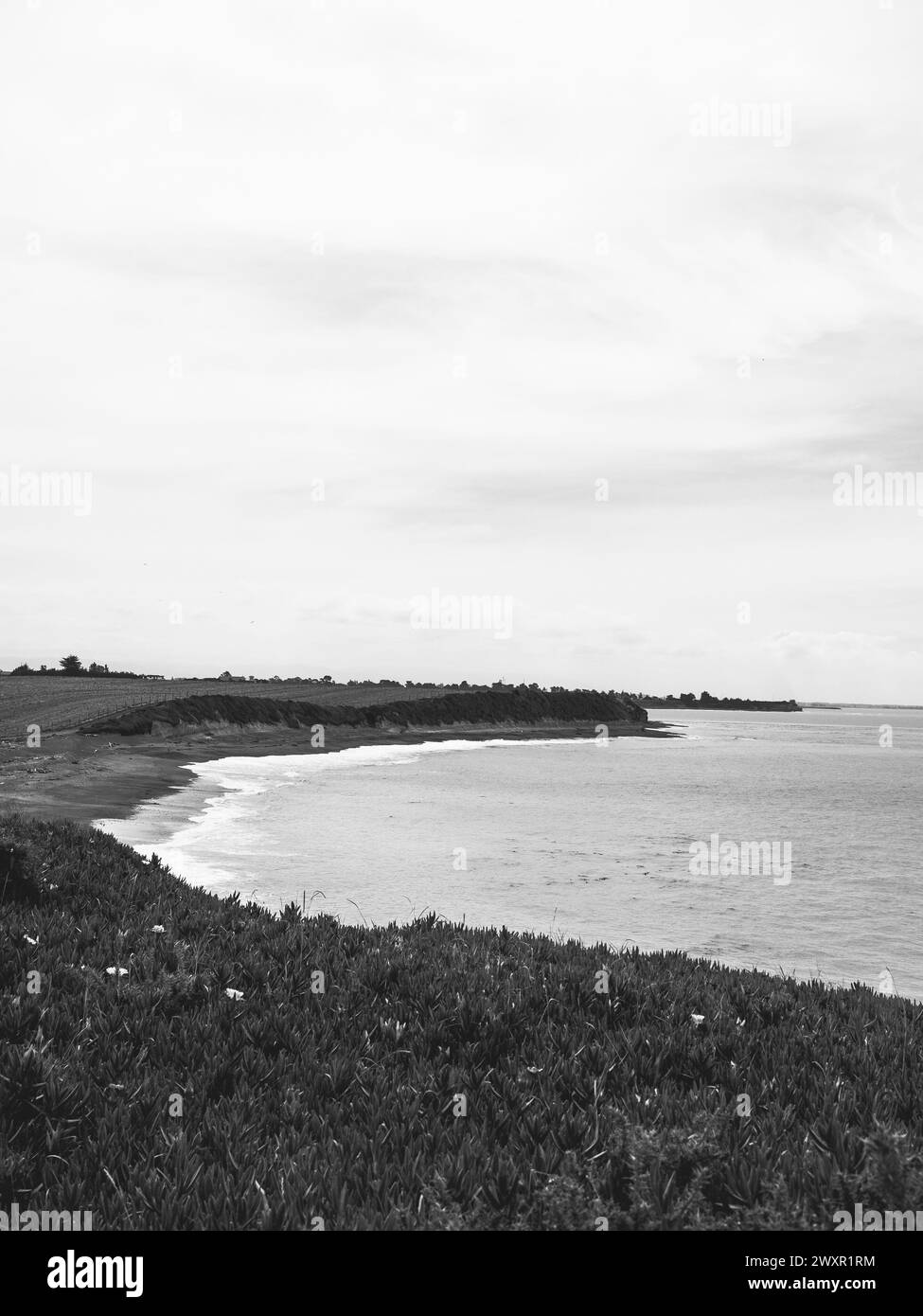 Mon partenaire et moi (principalement mon partenaire) avons prévu de voyager à travers l'île du Sud pour l'année du pass, et maintenant nous sommes ici. Banque D'Images