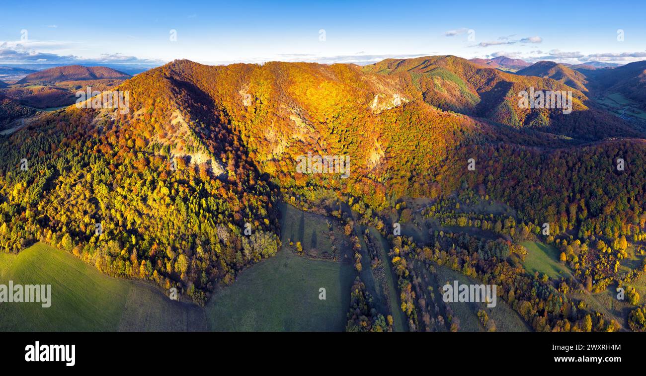 Panorama de montagne de drone avec forêt d'automne. Banque D'Images