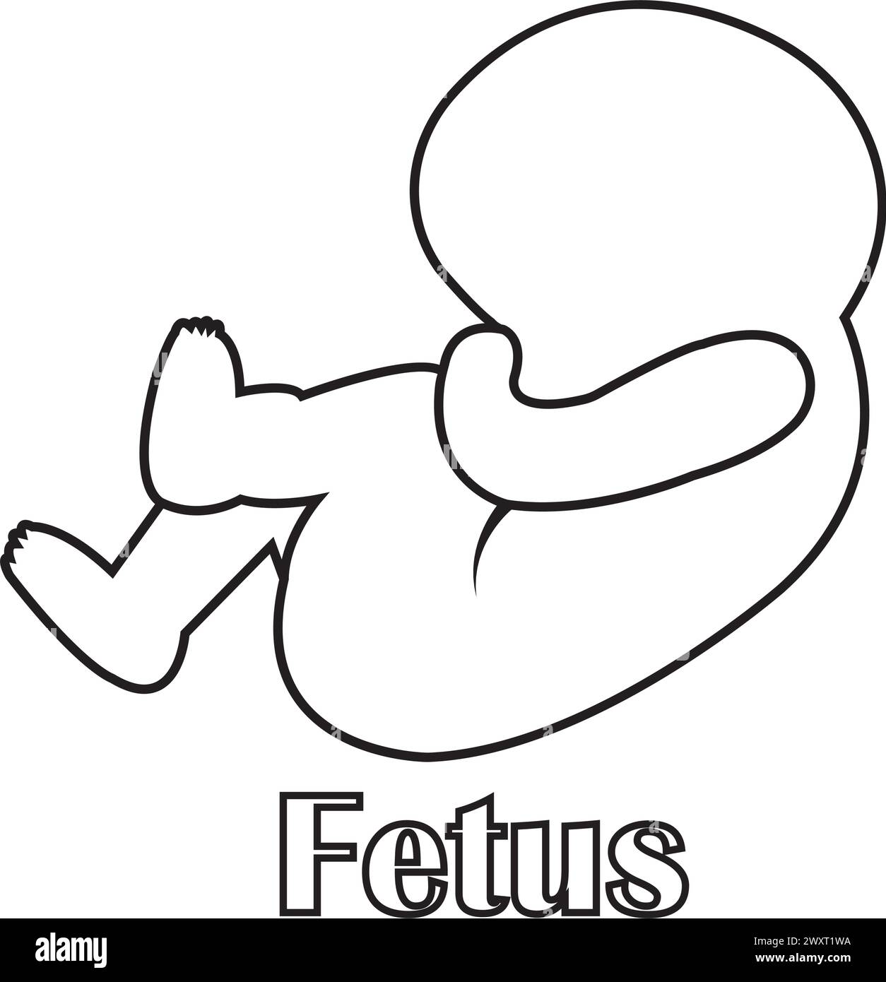 illustration vectorielle d'icône de fœtus conception simple Illustration de Vecteur