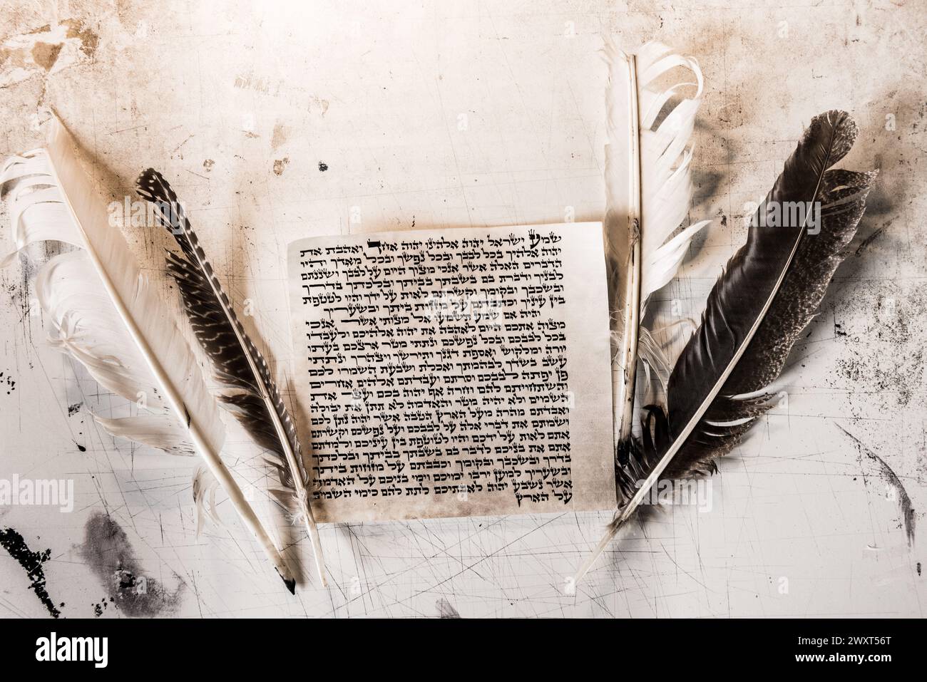 Parchemin de mezuzah fait de peau animale avec le texte complet de la prière juive Shema Yisrael en hébreu et les piqûres de plumes utilisées pour écrire l'hébreu Banque D'Images