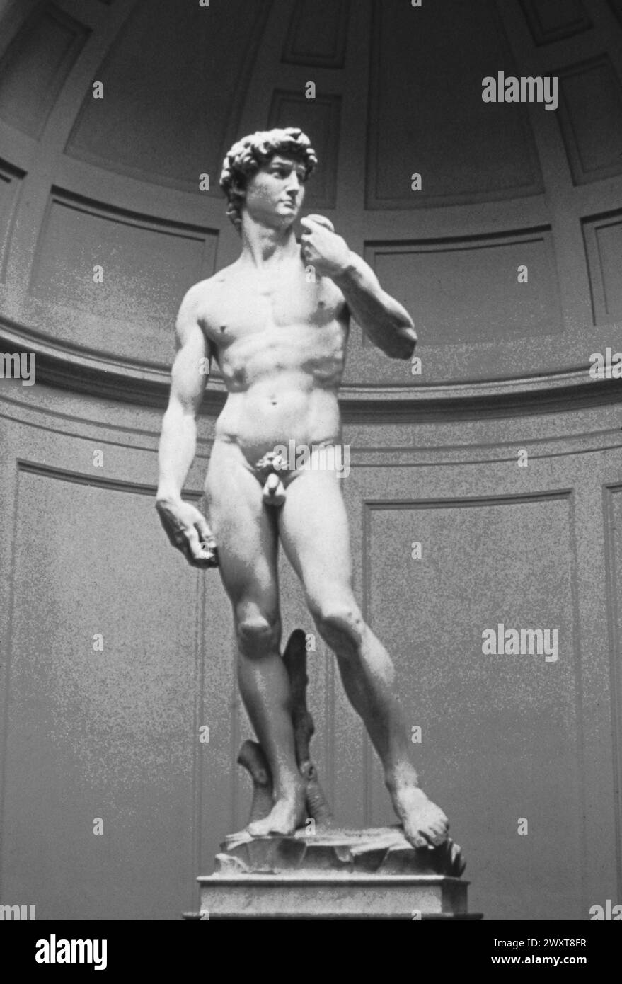 La statue David, de l'artiste italien Michel-Ange, XVIe siècle Banque D'Images