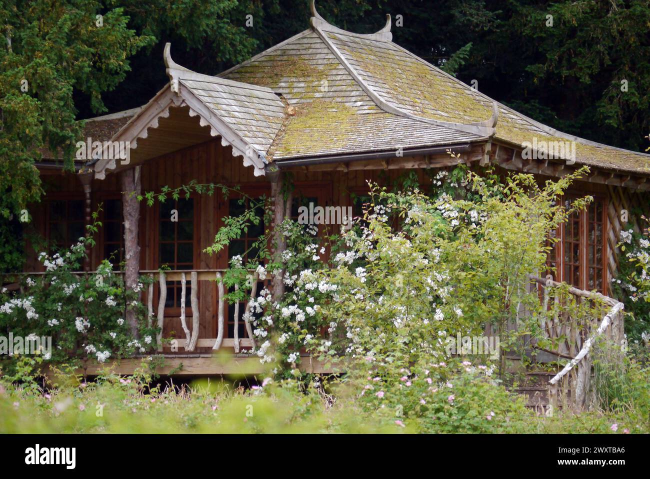 Wooden Silent Space-Jack Croft's Summerhouse at Lowther Castle, Lake District National Park, Cumbria, Angleterre, Royaume-Uni. Banque D'Images
