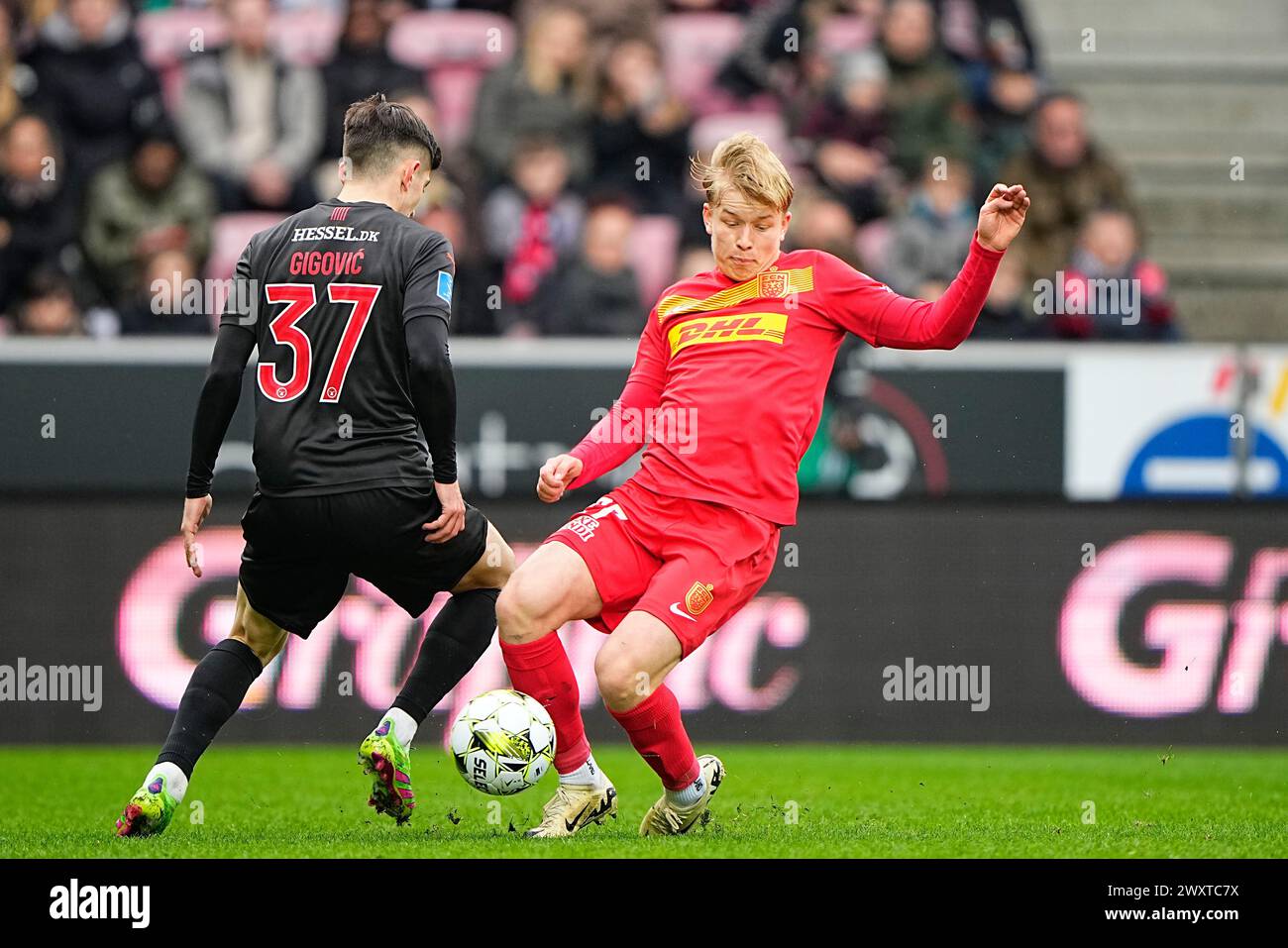 Le FC Midtjylland rencontre le FC Nordsjaelland en Super League à Herning le lundi 1er avril 2024. FC Midtjylland moeder FC Nordsjaelland i Superligaen i Herning mandag den 1. avril 2024. Banque D'Images