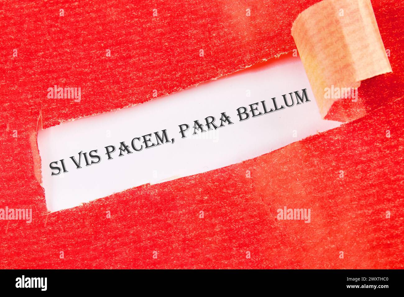 Si vis pacem, para bellum. Phrase latine signifiant si vous voulez la paix, préparez-vous à la guerre. sur fond blanc sous papier déchiré Banque D'Images